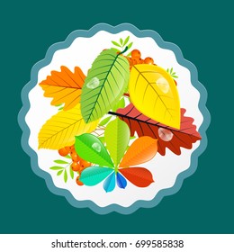 Autumn Leaves Design. Vector Flat Retro Colorful Background.
