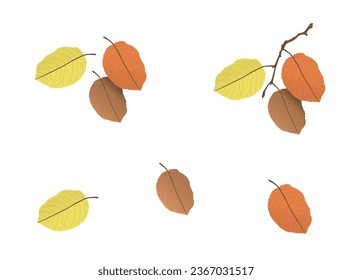 Autumn leaves of different colors on a branch. Elements drawn in vector. Transparent background. Vector color drawing