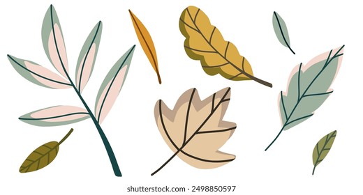 Autumn leaves of different colors and shapes. Set of vector illustrations for the harvest festival for posters, banners, cards. Isolated hand drawn clipart