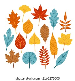 Autumn leaves different colors and sizes flat design vector illustration
