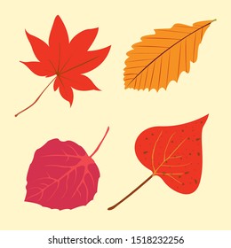 Autumn leaves of different colors. vector graphics with fallen leaves. Yellow and red colors.