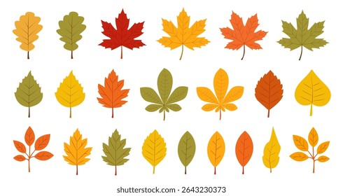 Autumn leaves with different distorted shapes. Workpiece for falling leaves, autumn design. Set, collection. Red, yellow, orange leaves, design elements in flat style.