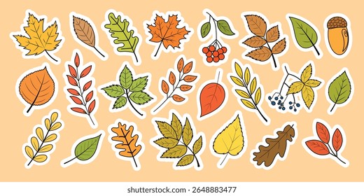 Autumn leaves different shapes and colors, sticker set. Botanical sticker set for scrapbooking, designs, invitations, packaging and greeting cards. Vector illustration, isolated on white background.