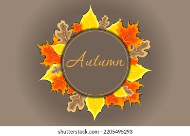 Autumn leaves of different trees around a round pattern. Bright autumn leaves in the form of a patterned wreath