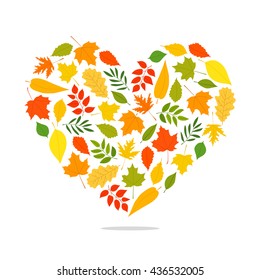 Autumn leaves from different trees in the form of a large heart. Vector illustration on white background. Elements for autumn design. Golden autumn.