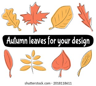 Autumn leaves doodle set. Colored hand drawn elements for your design. Vector illustration