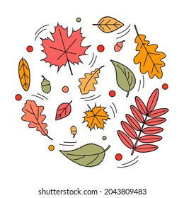 Autumn leaves, doodle set of simple icons on white background. Fallen leaves. Autumn palette. Leaves of oak, maple, mountain ash, birch, acorns. Vector illustration