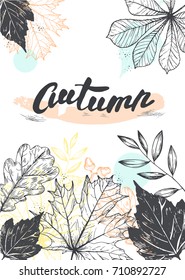 Autumn leaves. Drawing hand image and lettering design, vector illustration.