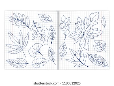 autumn leaves drawn with a pen on a notebook sheet in a cage