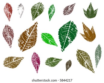 Autumn leaves, each separately grouped for ease of editing and coloring