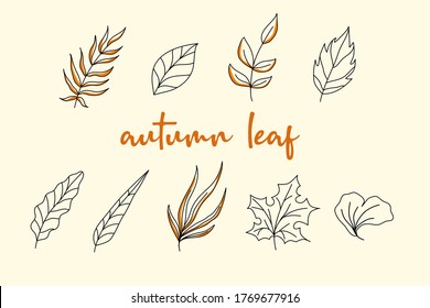 Autumn leaves element hand drawn design