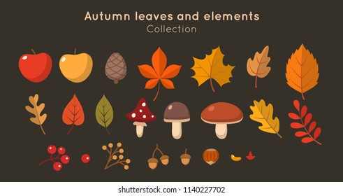 Autumn leaves and elements collection in flat style. Different leaves, mushrooms, nuts, berries. Vector illustration design template 