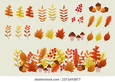 Autumn Leaves Elements set isolated on white background. Autumn leaves for decoration Autumn fall leaves vector illustration.