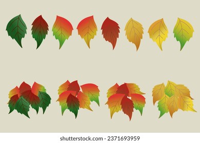 Autumn Leaves Elements set isolated on white background. Autumn leaves for decoration Autumn fall leaves vector illustration.