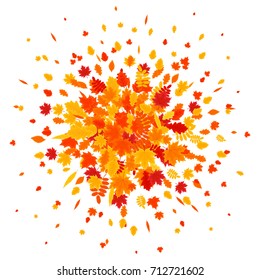 Autumn leaves explosion. Vector illustration. Flat design. EPS 10.