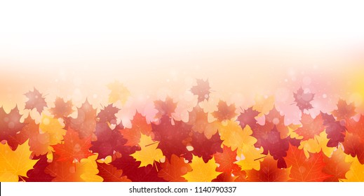 Autumn leaves fall background