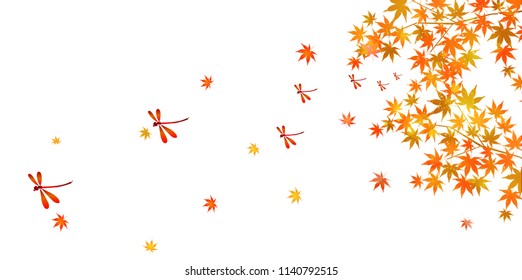 Autumn leaves fall background