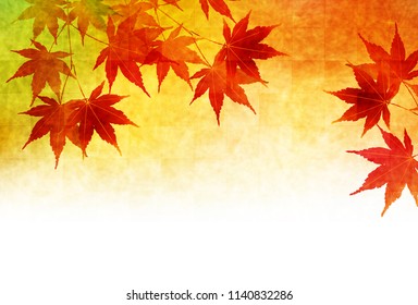 Autumn leaves fall background