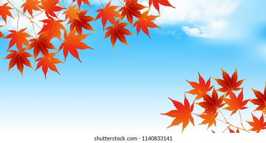 Autumn leaves fall background