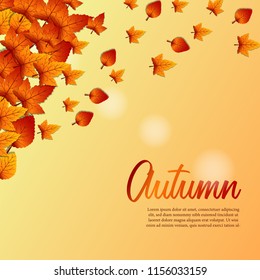Autumn leaves fall background. vector illustration