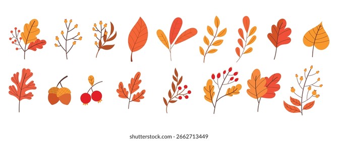 Hojas de otoño, otoño Clipart Vector conjunto