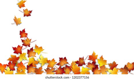 Autumn leaves. Fall colorful maple leaves on white background. Flying foliage. Vector illustration 