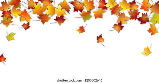 Autumn leaves. Fall colorful maple leaves on white background. Flying foliage. Vector illustration 