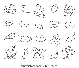 Autumn leaves fall. Coloring Page. Nature plant. Hand drawn style. Vector drawing. Collection of design elements.