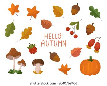 Autumn Leaves and fall elements set. Collection of fall leaves, acorns, vegetables, berries and mushrooms. Autumn vector clipart. 