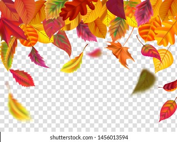 Autumn Leaves Fall. Falling Blurred Leaf, Autumnal Foliage Fall And Wind Rises Yellow Leaves. Leaf Decoration Frame, September Botanical Header Birch Or October Border Isolated Vector Illustration