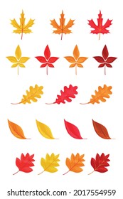 Autumn leaves or fall foliage icons isolated on white background. Simple cartoon flat style. Isolated vector illustration. Design for seasonal holiday greeting card, stickers, logo, web and mobile app