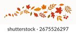 Autumn leaves. Fall foliage pattern with maple oak birch tree leaf flying in wind. Seasonal nature border decoration. Flowing movement. Flat vector illustration isolated on white background