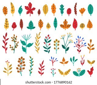 Autumn leaves. Fall forest leaves and berries, cozy doodle floral herbs, wildflowers, botanical tree foliage isolated vector illustration set. Autumn forest, yellow fall, foliage color