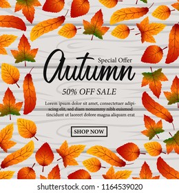 Autumn leaves fall frame with wood background . sale offer template. poster discount template. vector illustration.