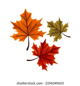 Autumn leaves or fall leaves icon. Vector isolated set of maples. autumn leaves for seasonal holiday greeting card design