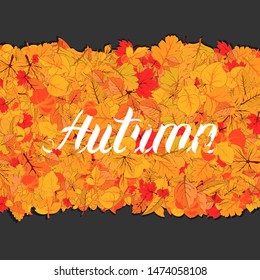 Autumn leaves fall isolated background with lettering. Golden autumn poster template. Vector illustration