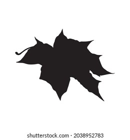 Autumn Leaves, fall leaf vector 