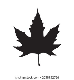 Herbstblätter, Herbstblatt, Vektorgrafik 