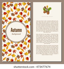 Autumn leaves fall on banner vector illustration. Background with design autumn elements. 