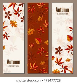 Autumn leaves fall on banner vector illustration. Background with design autumn elements. 