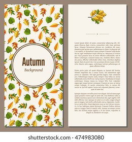 Autumn leaves fall on banner vector illustration. Background with design autumn elements. 