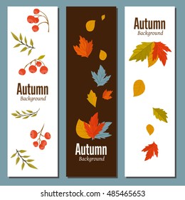 Autumn leaves fall on banner vector illustration. Background with design autumn elements. 