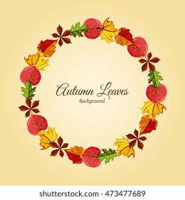 Autumn leaves fall on border vector illustration. Background with hand drawn autumn leaves. Design elements.