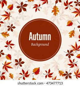 Autumn leaves fall on border vector illustration. Background with hand drawn autumn leaves. Design elements.