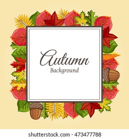 Autumn leaves fall on border vector illustration. Background with hand drawn autumn leaves. Design elements.