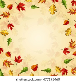 Autumn leaves fall on border vector illustration. Background with hand drawn autumn leaves. Design elements.