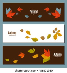 Autumn leaves fall on border vector illustration. Autumn background with design elements. 