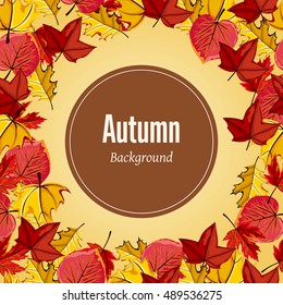 Autumn leaves fall on border vector illustration. Background with hand drawn autumn leaves. Design elements.