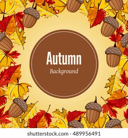Autumn leaves fall on border vector illustration. Background with hand drawn autumn leaves. Design elements.