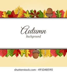 Autumn leaves fall on border vector illustration. Background with hand drawn autumn leaves. Design elements.